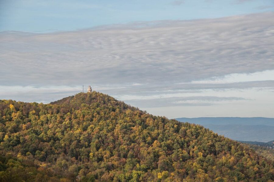 3Hour Outdoor Budapest Normafa Hike&History With a Historian - Key highlights to look for