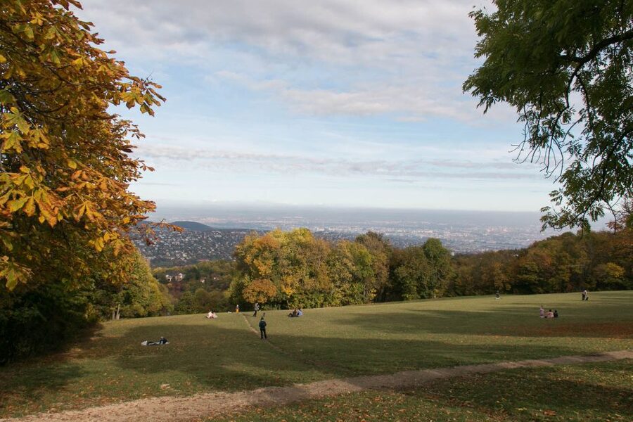 3Hour Outdoor Budapest Normafa Hike&History With a Historian - Getting to the start: Széll Kálmán Square, M2, and quick orientation