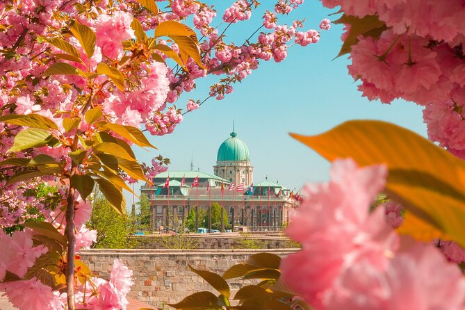Best of Budapest Tour - Andrássy Avenue to Heroes’ Square, Budapest’s Grand Boulevard Mood
