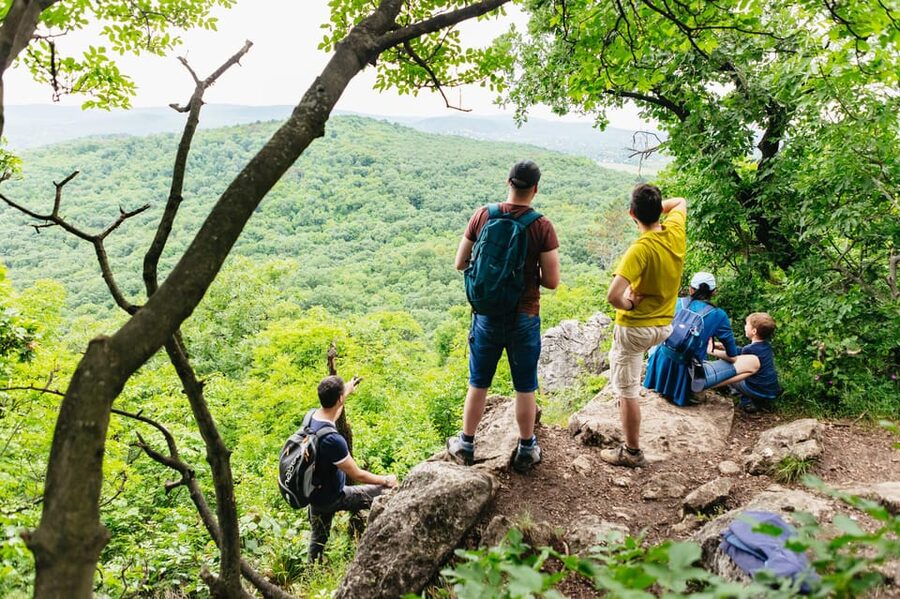 Budapest: Buda Hills Guided Hiking Tour with Optional Lunch - Key Highlights You’ll Feel on This Hike