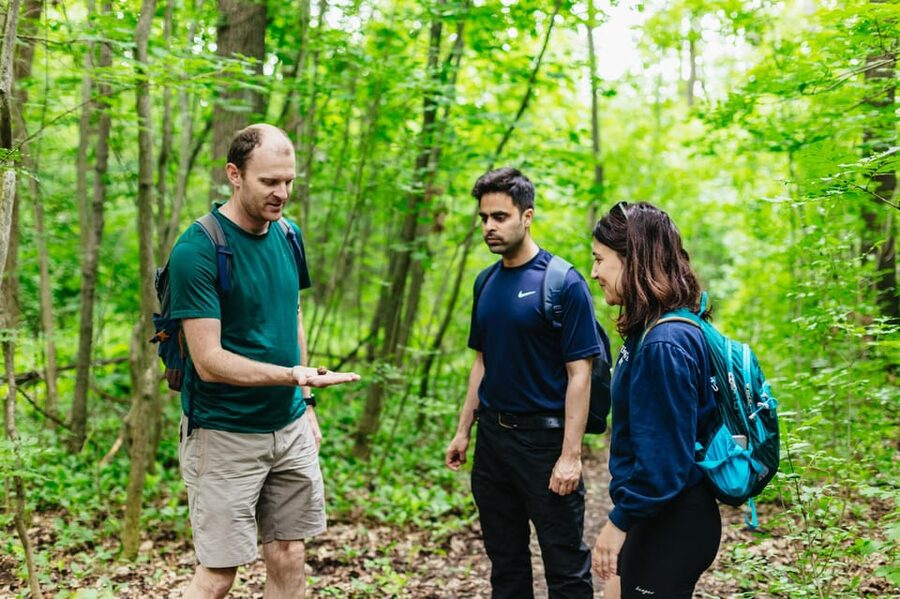 Budapest: Buda Hills Guided Hiking Tour with Optional Lunch - Why the Buda Hills Change the Way You See Budapest