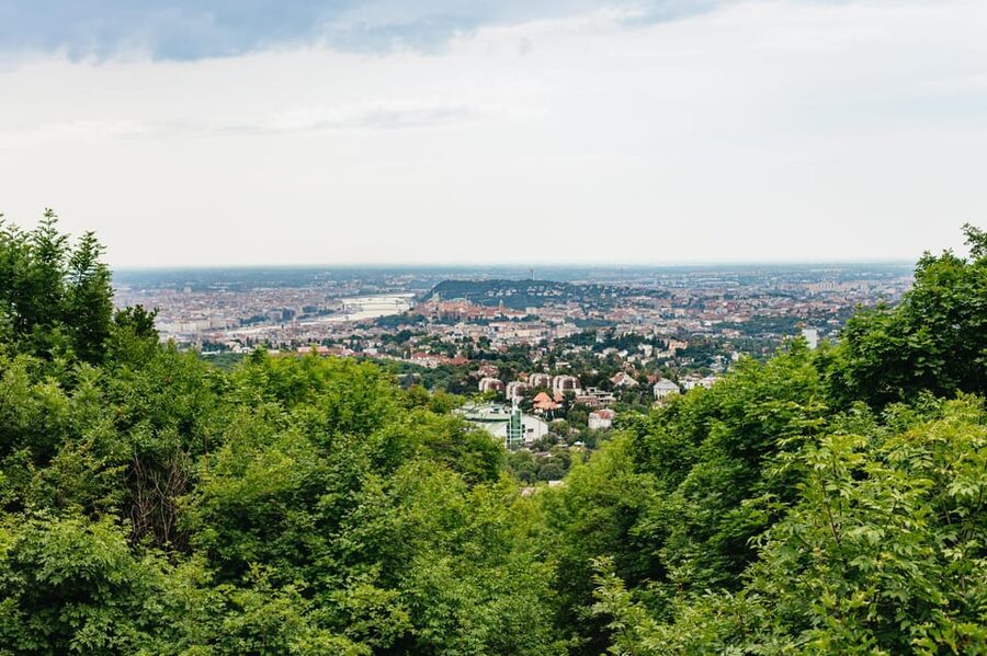 Budapest: Buda Hills Guided Hiking Tour with Optional Lunch - Lunch Option: Hungarian Food Without Interrupting the Flow