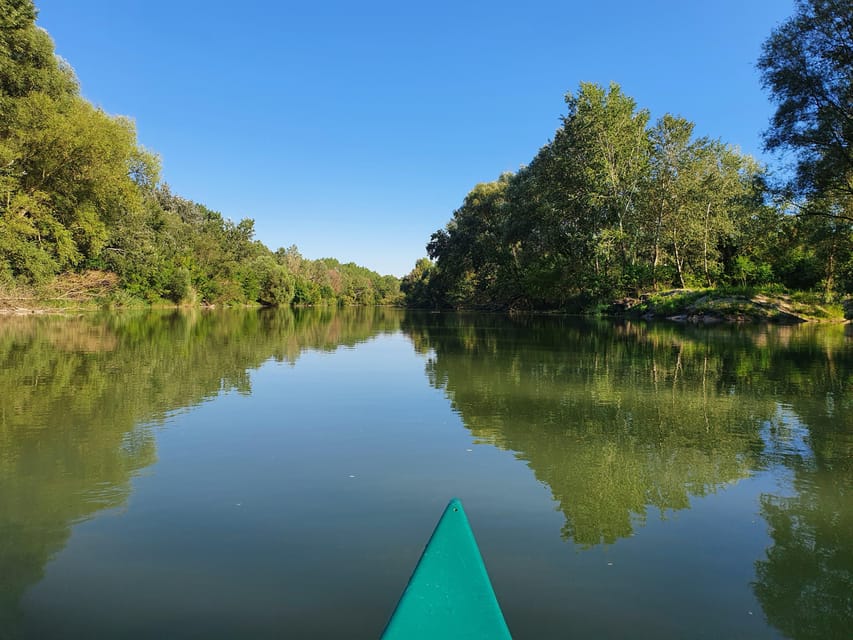 Budapest: Canoeing the Danube w or wo Sauna or Danube Beach - Why This Danube Section Feels Like a Real Day Out