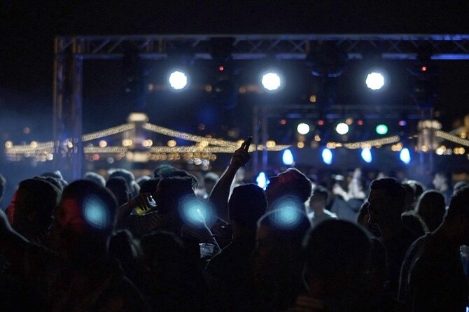 Budapest Danube Cruise with DJ, Drinks and After Party - Group vibe: who this cruise suits best