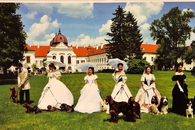 Budapest Gödöllő Palace Royal ‘Sisi’ Residence Half-Day Tour - What the Palace Visit Feels Like Inside