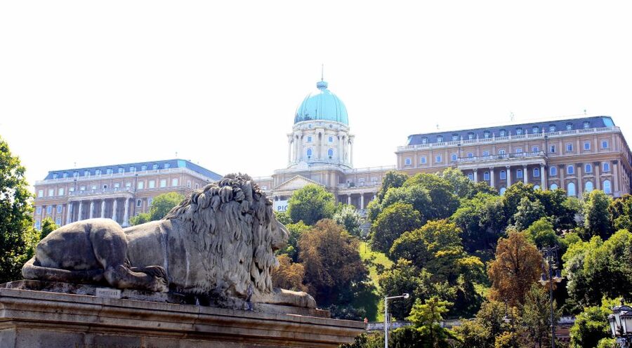 Budapest: Guided City Tour by E-Bike - Batthyany Square coffee pause, then the climb into Buda