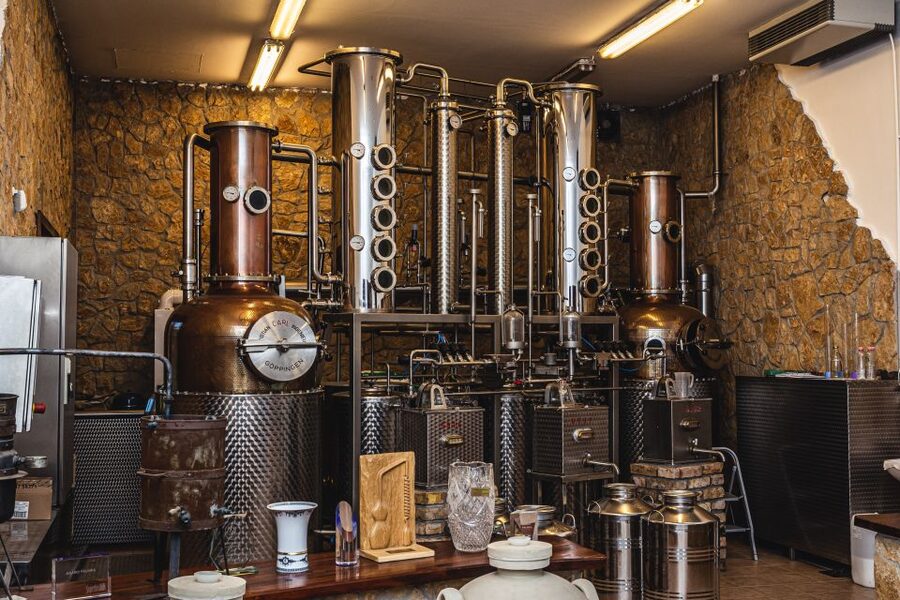 Budapest: Hungarian Whisky, Gin, and Pálinka Tasting - What You’ll Taste: 6 Pálinkas Plus Gin and Whisky