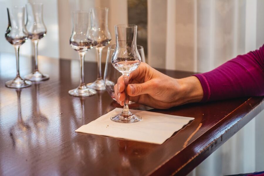 Budapest: Hungarian Whisky, Gin, and Pálinka Tasting - English-Language Guidance and the Pace of a Small Group
