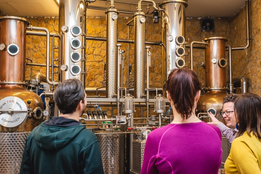 Budapest: Hungarian Whisky, Gin, and Pálinka Tasting - Meet at the Ritz-Carlton and Head for Central Transdanubia