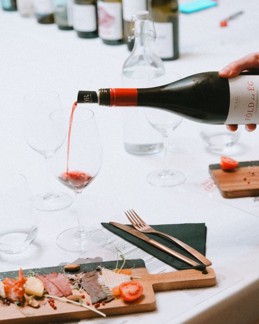 Budapest: Hungarian Wine & Food Tasting Experience - Price and value: $65 for a full flight plus food