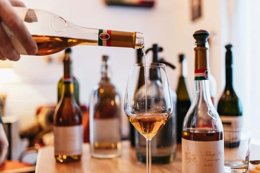 Budapest: Hungarian Wine Tasting with 7 Wines and Tapas - How the wine expert turns a bar tasting into a real lesson