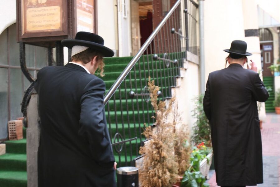 Budapest: Jewish Heritage Guided Tour with Synagogue Ticket - Dohány Street Synagogue: the building that sets the emotional tone