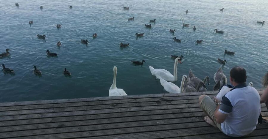 Budapest: Lake Balaton & Herend Porcelain Private Day Tour - Key points to know before you go