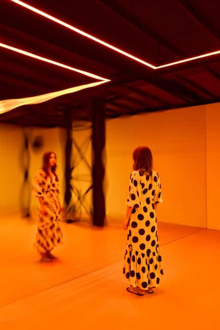 Budapest: Light Art Museum - Immersive New Media Experience - Price and value: what $18 buys you in real time