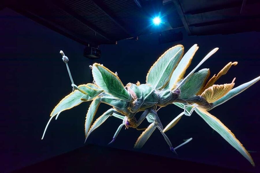 Budapest: Light Art Museum - Immersive New Media Experience - Crowds, timing, and pacing tips that save your day
