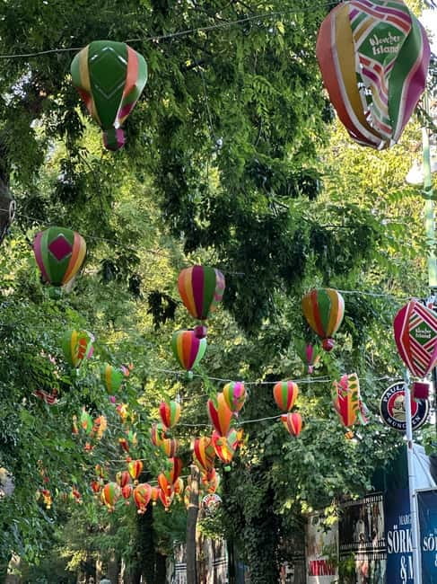 Budapest: Live-Guided Segway Tour to Margaret Island - Margaret Island: Japanese Gardens, church ruins, and the water tower