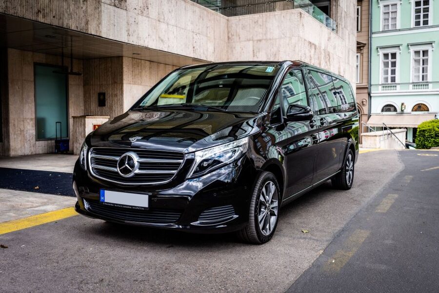 Budapest: Private Luxury Sightseeing Tour - Entrance fees and what you should decide before you go