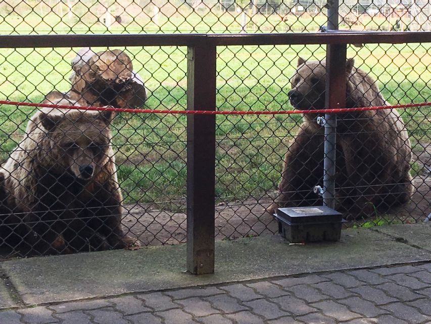 Budapest: Transport & Guided Tour of Bear and Wolf Sanctuary - Price and Value in Budapest: What You Pay For