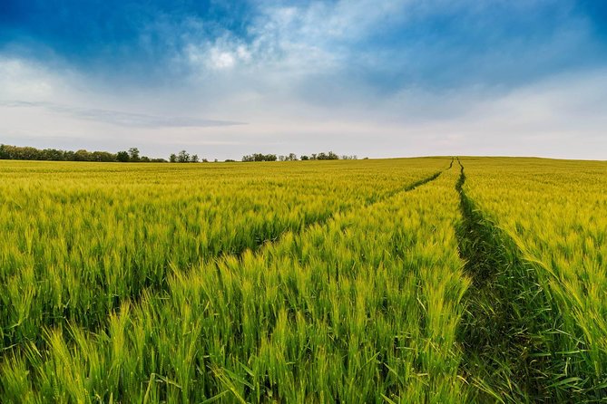 Budapest-Vienna One-Way Sightseeing Transfer - Price and value: what you are paying for on a 10-hour cross-country day