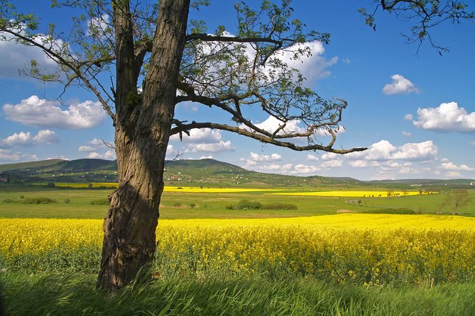 Budapest-Vienna One-Way Sightseeing Transfer - The 9:00 AM start, 10-hour day, and how to plan your expectations