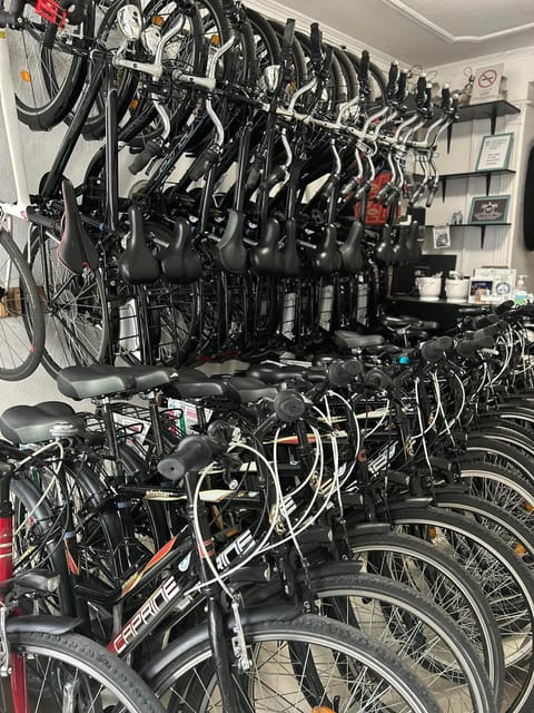 Choose a bicycle and make your own tour in Budapest-24 hrs - Meeting at Bestbike Tours by Ferenc Liszt University of Music