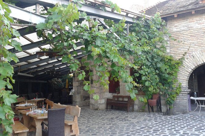 Countryside Half-day Gastro-Wine Tour from Budapest Meal & pickup - Pickup Rules and Group Comfort: Minivan Reality Check