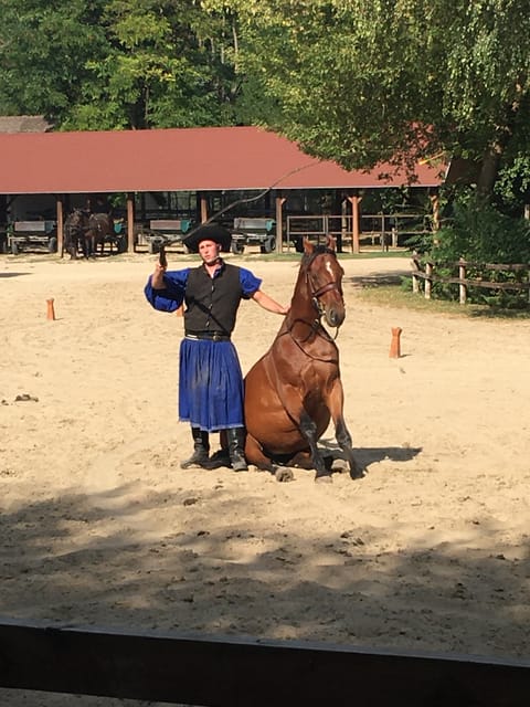 Countryside ranch, horse show & lunch - Racka Sheep, Grey Cattle, and the Animals Linked to Hungary