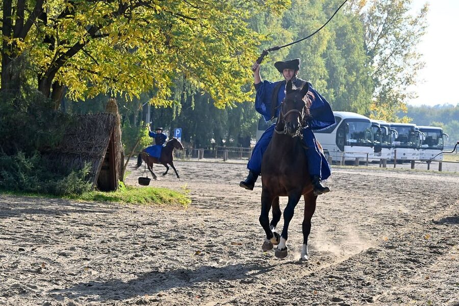 Countryside ranch, horse show & lunch - The Carriage Ride Around the Farm: Watching Horse Work at Ground Level