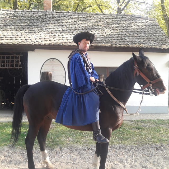 Countryside ranch, horse show & lunch - Wine and Food Tasting While You’re Out in the Plain