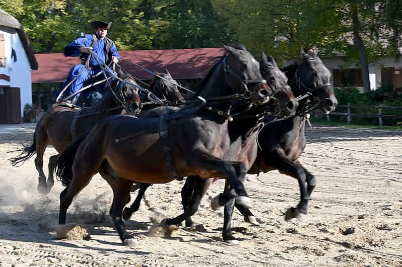Countryside ranch, horse show & lunch - From Batthyány Square Out to the Southern Great Plain (60 km and 5 Hours Total)