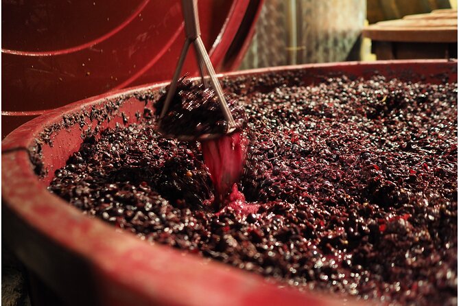 Etyek Private Half-Day Wine Tasting Tour from Budapest - Stop 1 in Etyek: meeting the people behind the first pours