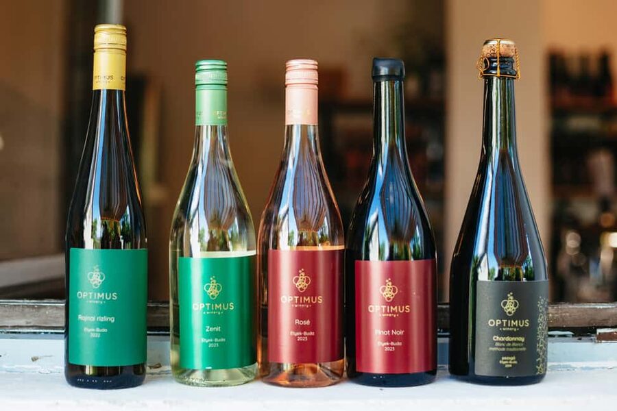 From Budapest: Etyek Wine Tasting Tour with 3-Course Meal - Should you book the Etyek Wine Tasting Tour with 3-course meal?