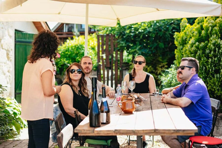 From Budapest: Etyek Wine Tasting Tour with 3-Course Meal - Budapest pickup and the ride where the history starts
