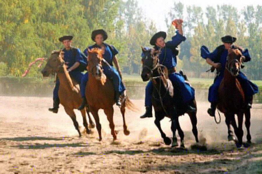 From Budapest: Full-Day Puszta Tour with Lunch and Show - Key points at a glance