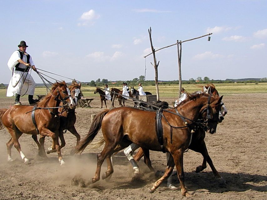 From Budapest: Full-Day Puszta Tour with Lunch and Show - Booking call: should you book the Puszta tour with lunch and show?