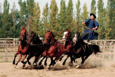 Full-Day Puszta Tour with Lunch and Show
