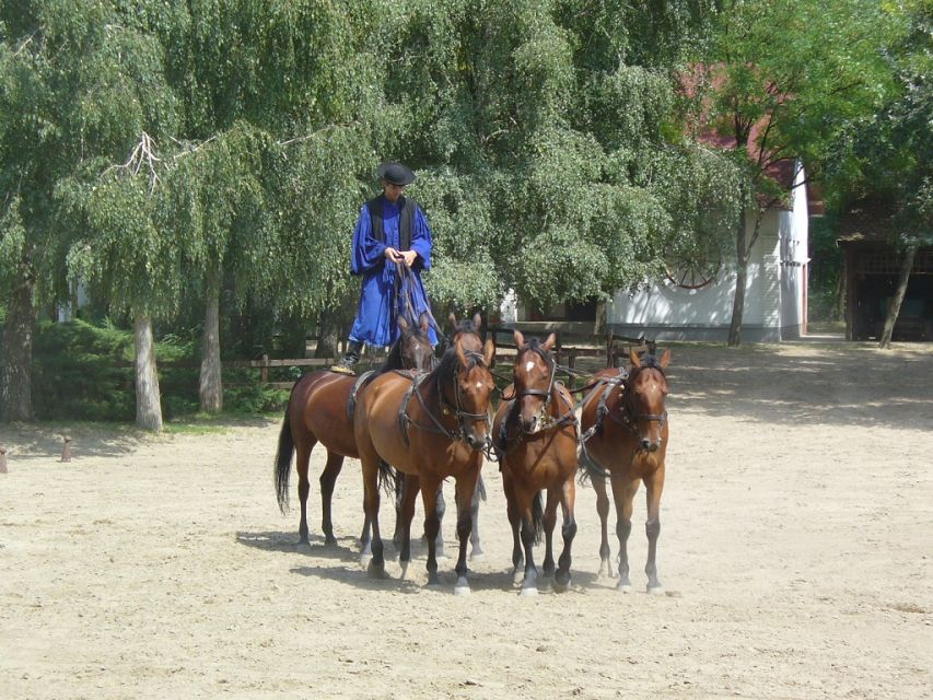 From Budapest: Full-Day Puszta Tour with Lunch and Show - Who this tour suits best, and who should skip it