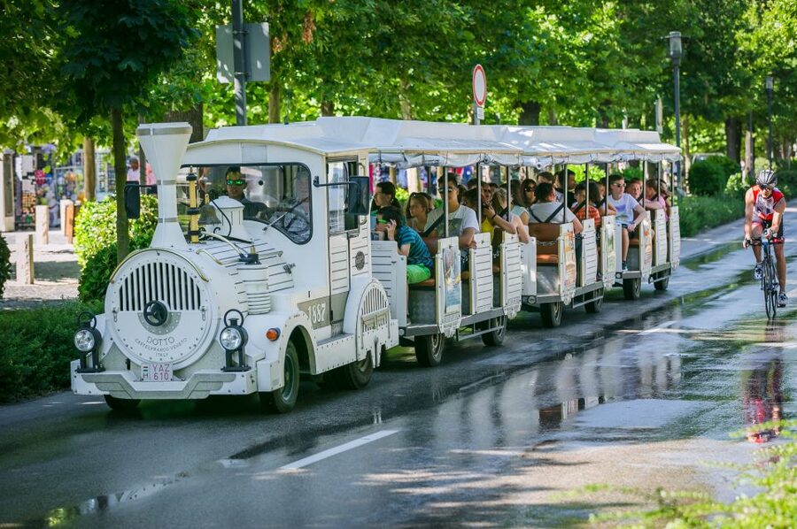 From Budapest: Lake Balaton Day Tour - Who this day trip is best for (and who should skip it)