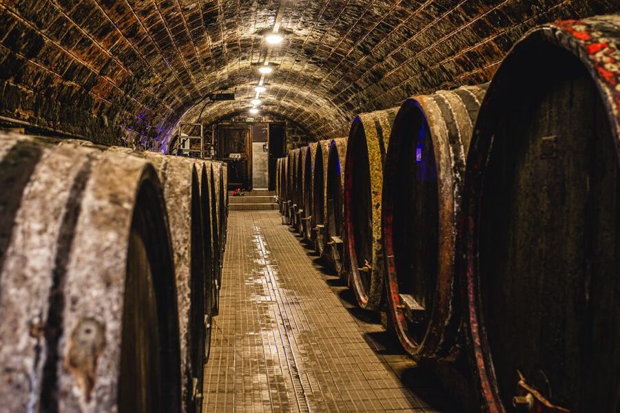 From Budapest: Mátra Hills Wine Tour - Included Snacks: Meat, Cheese, and Olives, Done Right