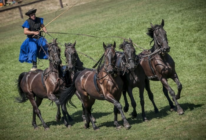 From Budapest: Puszta Horse Show and Countryside Visit - Kecskemét photo stop and guided walk: what fits in one hour