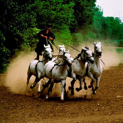 Puszta Horse Show and Countryside Visit