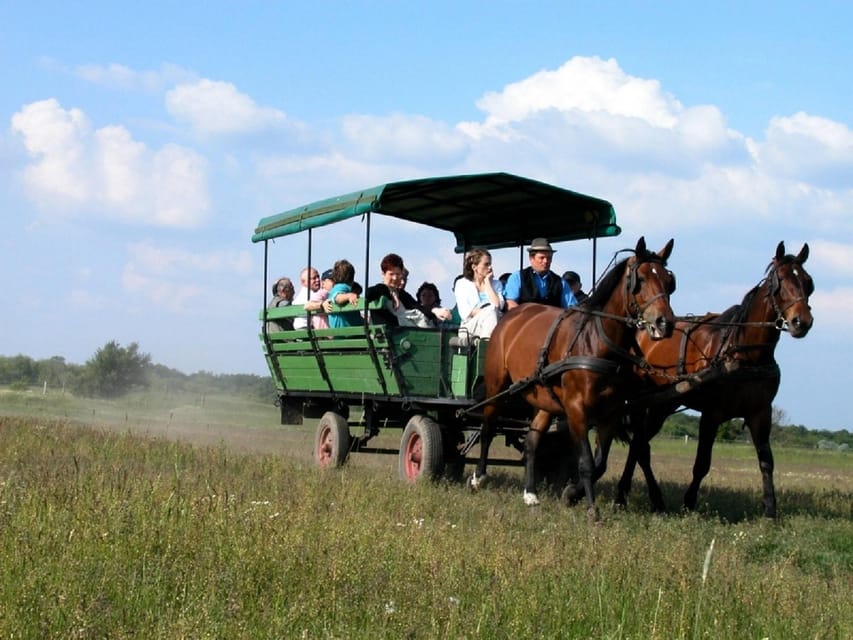 From Budapest: Puszta Horse Show and Countryside Visit - Lajosmizse farm visit: the welcome, Palinka, lunch, and the show