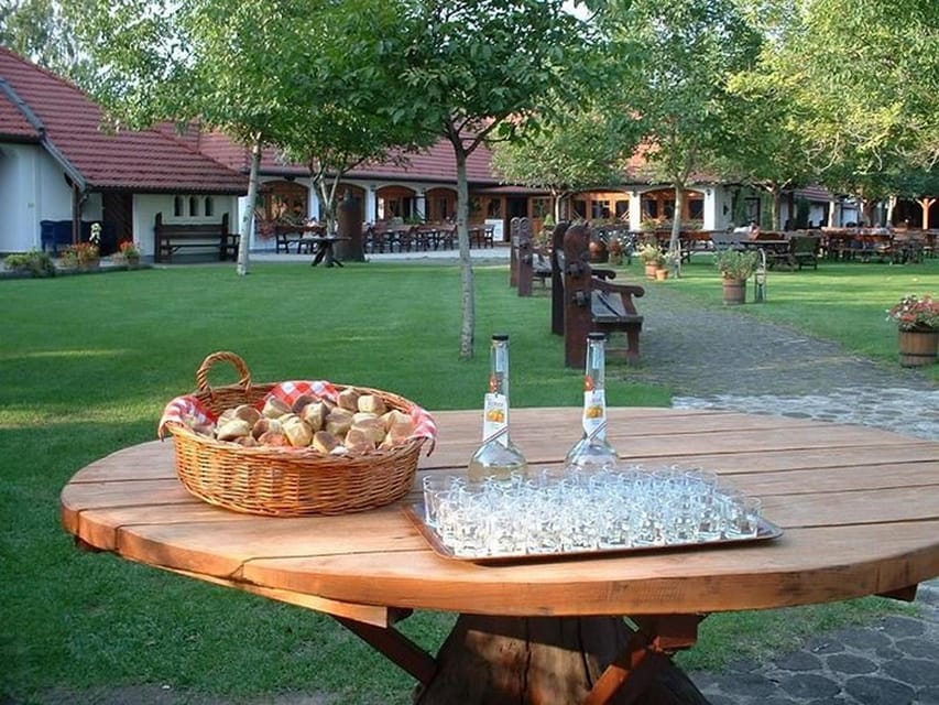 From Budapest: Puszta Horse Show and Countryside Visit - Horse comfort and animal welfare: what to watch for