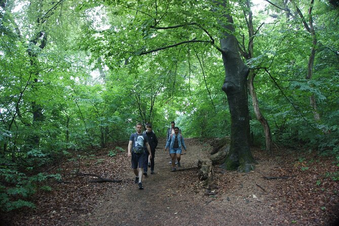 Hiking in Budapest - Off-the-beaten-path trails, plus a guide who teaches you to navigate