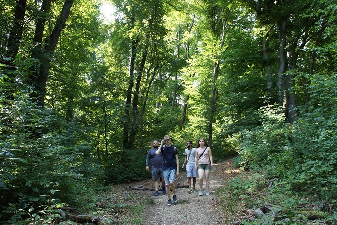Hiking in Budapest - Timing, booking window, and weather planning without stress