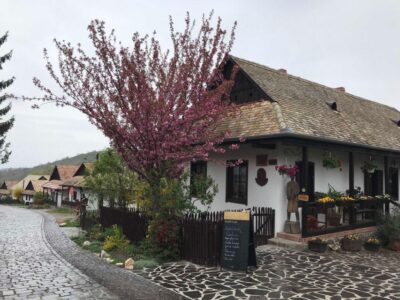 Hollókő Ethnographic Village: Day Tour from Budapest