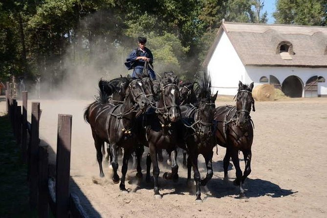 Horseshow on the Hungarian Puszta, private tour from Budapest with entry! - A Private Puszta Show That Feels Like a Real Day Out