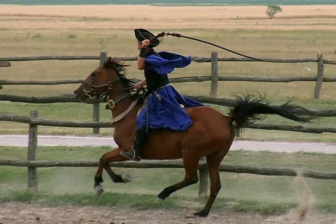 Horseshow on the Hungarian Puszta, private tour from Budapest with entry! - Kiskunsági Nemzeti Park: Carriage Ride, Stables, Then Lunch