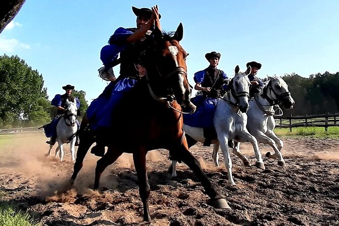 Horseshow on the Hungarian Puszta, private tour from Budapest with entry! - The Horseshow: Equestrian Skill You Can Actually Appreciate