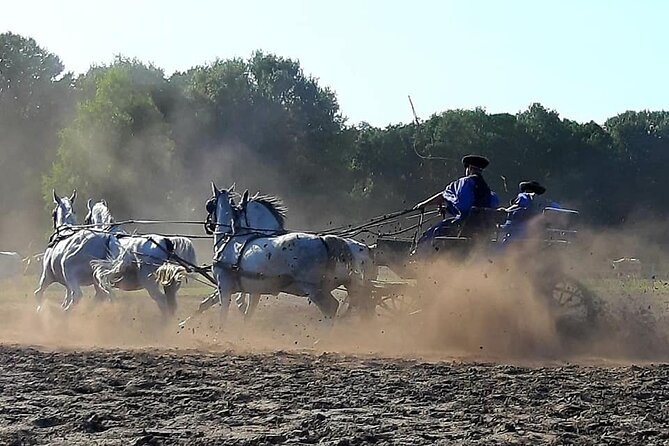 Horseshow on the Hungarian Puszta, private tour from Budapest with entry! - Transportation Comfort: Why Pickup Makes a Difference